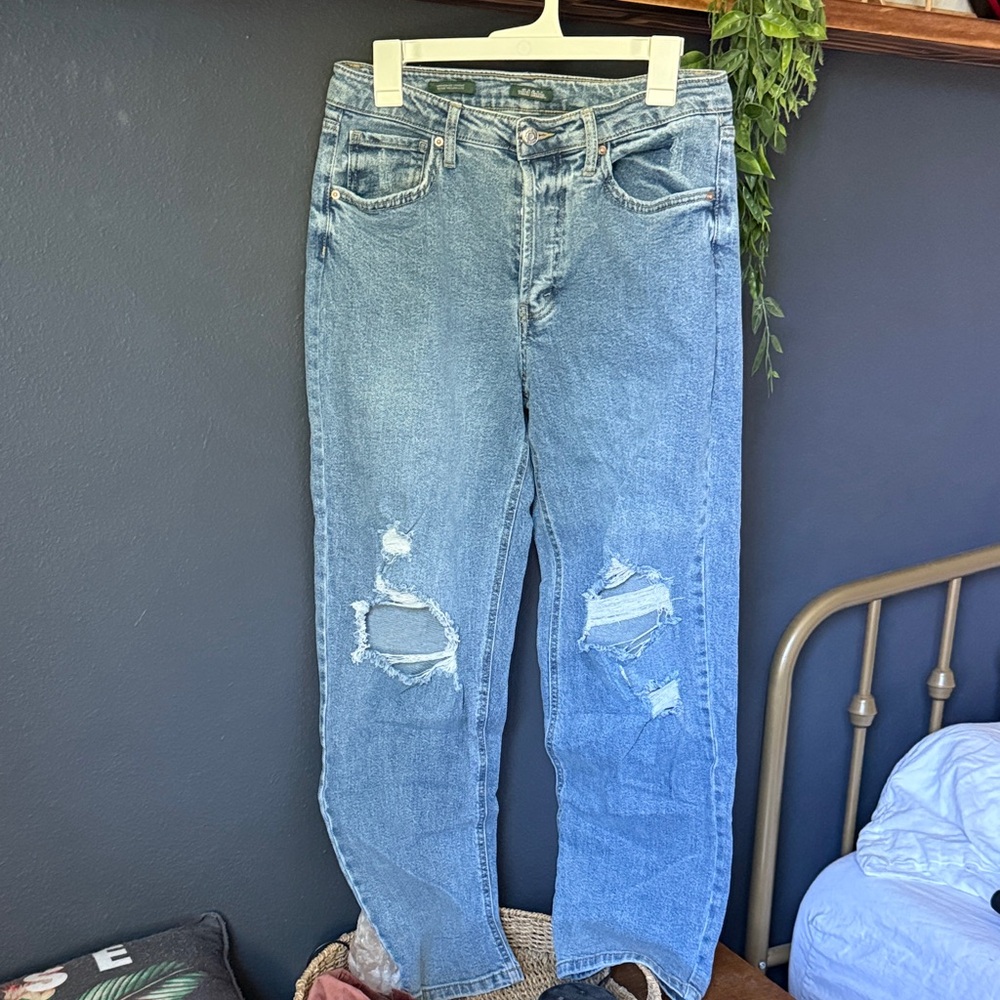 Wild Fable Distressed Jeans size 10